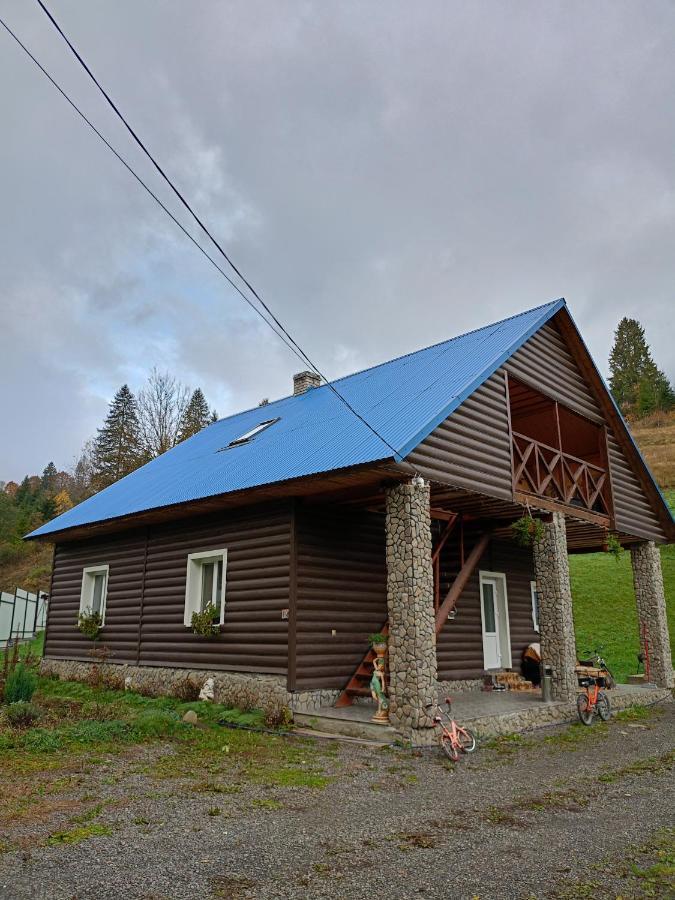 "Відпочинок В Карпатах" Villa Izki Exterior photo